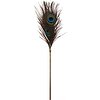 Taboom Dona Peacock Tickler Pene Păun Roz Auriu 27 cm
