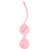 Bile Vaginale Pretty Love Kegel Roz