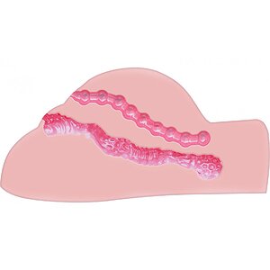 Păsărica Galore Vibe Thumb 2