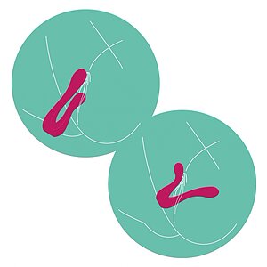 Sync Sensation Vibrator Fuchsia _ Thumb 25