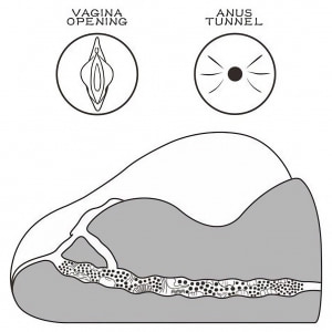 Lovetoy Streetgirls 2 Black, Masturbator TPE 19.5 cm Maro Thumb 3