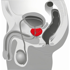 Vibrator Bărbați Pentru Prostată Twister Negru Thumb 17
