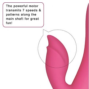 Vibrator Lovetoy Dreamer II Roz Thumb 5